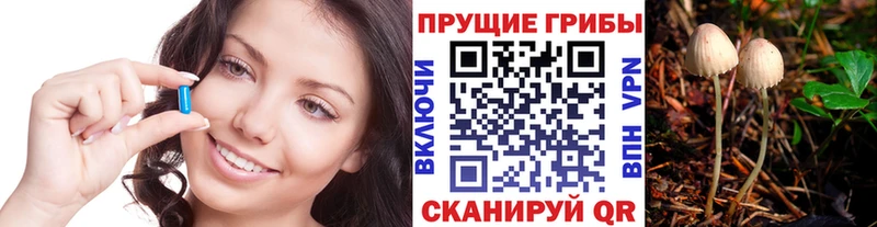 Галлюциногенные грибы Magic Shrooms  Шахунья 